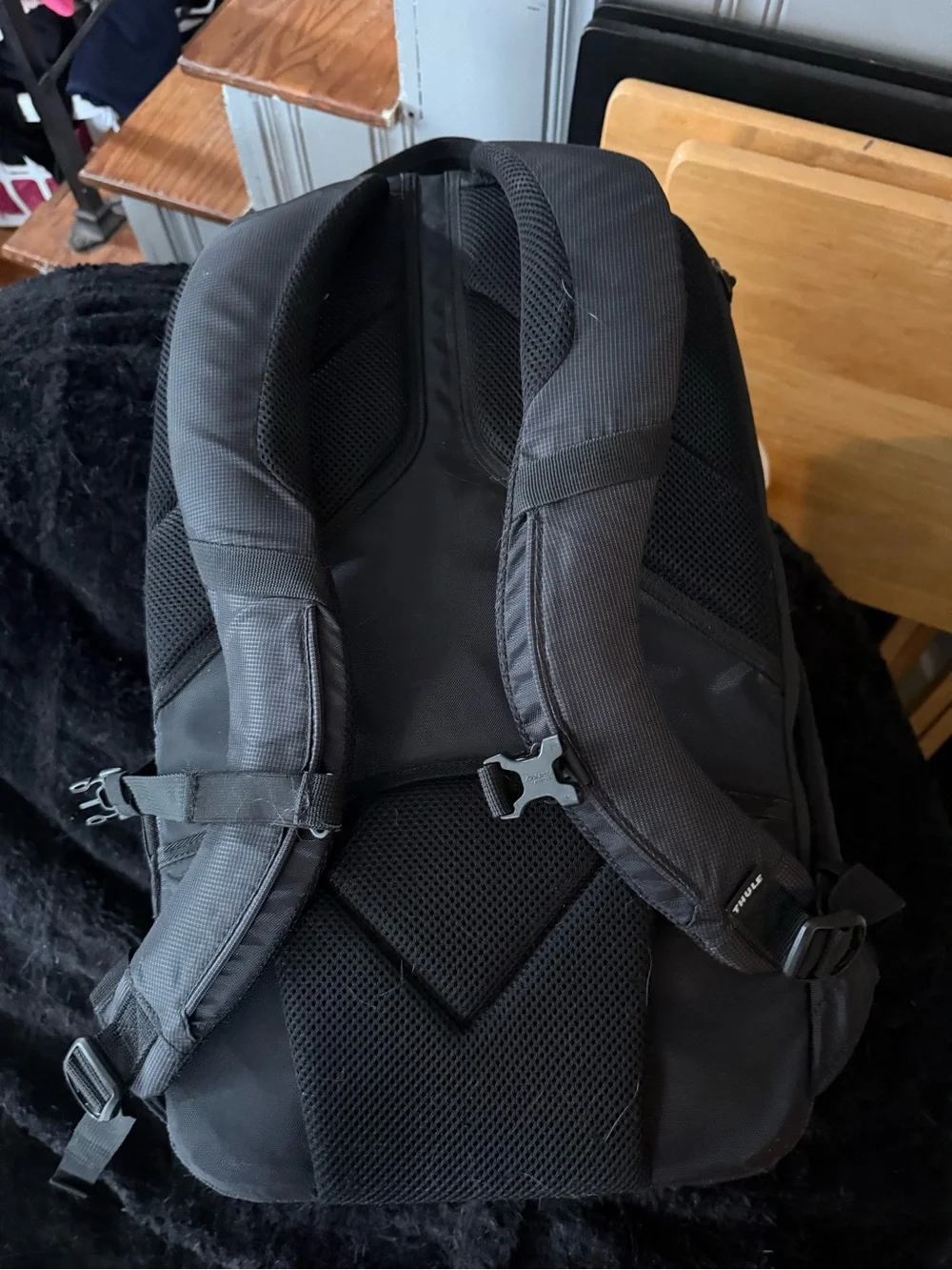 Thule Black Camera Backpack with Teal Accents